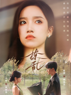 【撩乱】65集短剧免费在线全集观