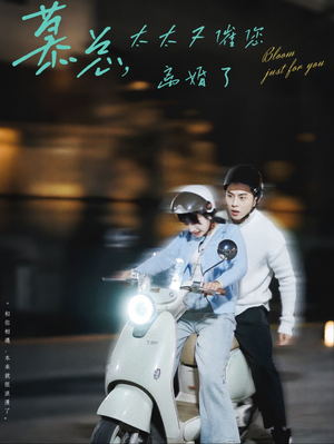 【慕总，太太又催您离婚了】80集短剧在线免费观全