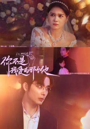 【你不是我爱的那个他】54集免费看短剧全集