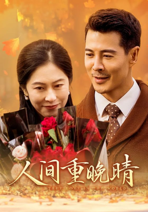 【人间重晚情】38集全集短剧免费追看