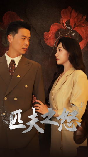 【匹夫之怒】48集免费在线短剧全集欣赏