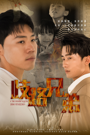 【歧路兄弟】63集在线短剧免费即点即看