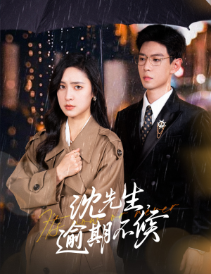 【沈先生，逾期不候】75集在线短剧免费畅看