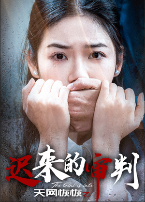【天网恢恢之迟来的审判】31集短剧免费全集即时看