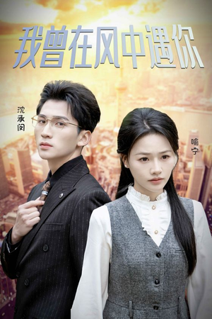 【我曾在风中遇你】30集短剧免费在线畅享观看