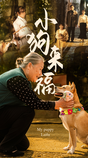 【小狗来福】30集全集在线免费短剧观看