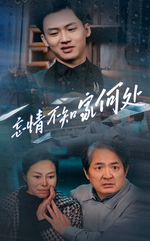 【忘情不知家何处】53集短剧在线免费览看