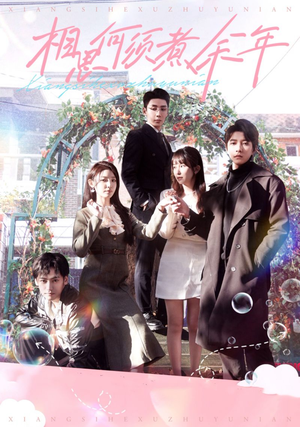 【相思何须煮余年】33集免费短剧畅享观看