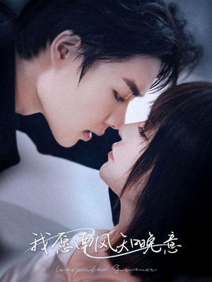 【我愿南风知晚意】61集短剧在线免费全集观览