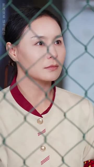 【主妇的铁拳】41集短剧免费在线全集观看