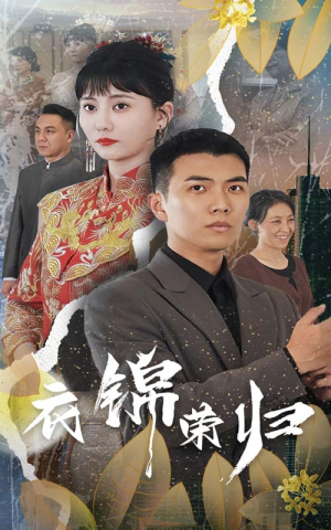 【衣锦荣归】81集短剧免费在线直看