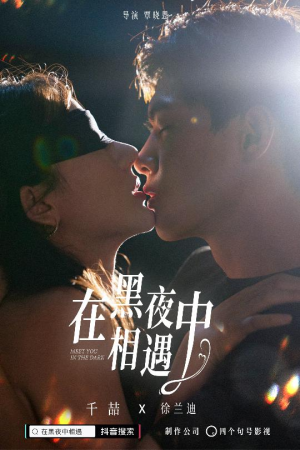 【在黑夜中相遇】32集短剧免费高清在线看