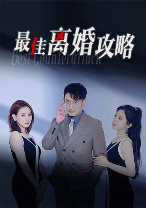 【最佳离婚攻略】31集免费短剧在线览看