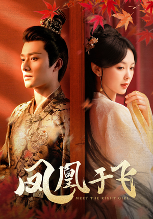 【凤凰于飞】79集免费短剧全集线上赏