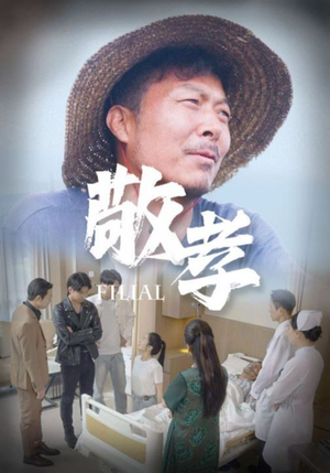 【敬孝】61集短剧在线免费全集播放