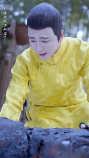 【与雪白头】84集短剧免费全集速看