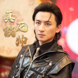 【真假龙帅】81集短剧免费全集速览