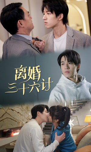 【离婚三十六计】96集在线短剧免费畅看