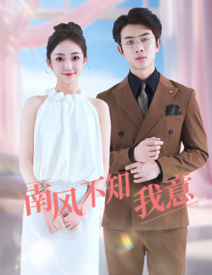 【南风不知我意】81集短剧高清免费全集赏