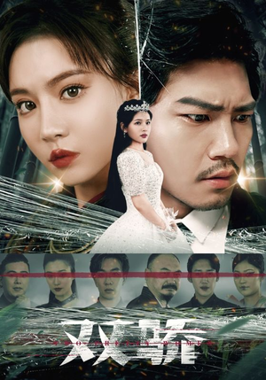 【双骄】66集免费在线短剧全集观览