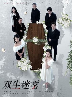 【双生迷雾】80集短剧在线免费畅快览