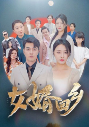 【女婿回乡】120集短剧免费全集速览