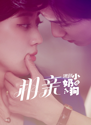 【相亲遇到小奶狗】80集免费短剧完整赏看