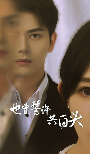 【也曾誓许共白头】60集精彩短剧全集在线观