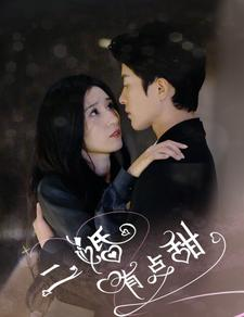 【二婚有点甜】88集短剧全集在线赏看