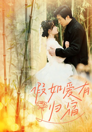 【假如爱有归宿】73集短剧在线免费畅看