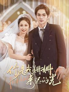 【你是我姗姗来迟的光】99集短剧免费全集追览