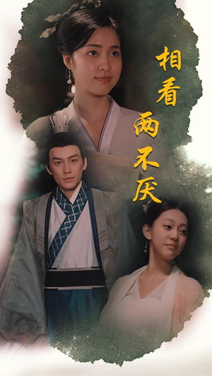 【这个王妃不好惹】85集短剧在线免费欣赏