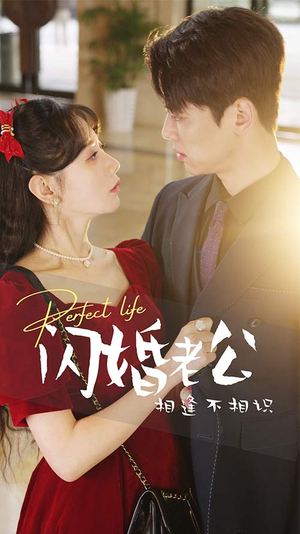 【闪婚老公相逢不相识】90集短剧免费高清在线看