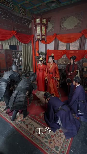 【霸道王爷的丫鬟娇妻】88集短剧免费在线看全集