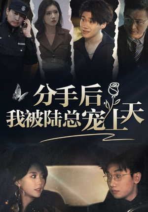 【分手后，我被陆总宠上天】76集短剧免费高清在线观