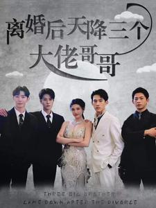 【离婚后天降三个大佬哥哥】在线免费看83集短剧全集