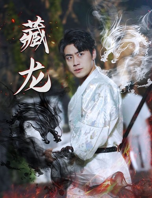 【藏龙】74集短剧免费全集在线速看