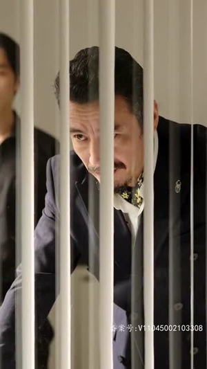 【新：绝世医仙】65集短剧完整版免费观看