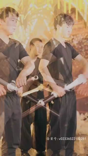 【无极神尊】85集短剧免费在线高清播放