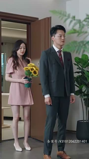 【女主她一心只想搞事业】100集短剧免费全集速览