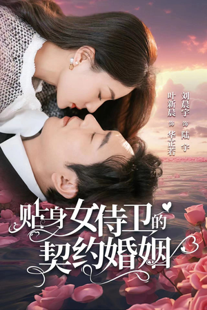 【贴身女侍卫的契约婚姻】91集高清短剧免费看全集