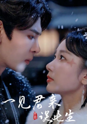 【一见君来误此生】95集短剧在线免费畅看全集