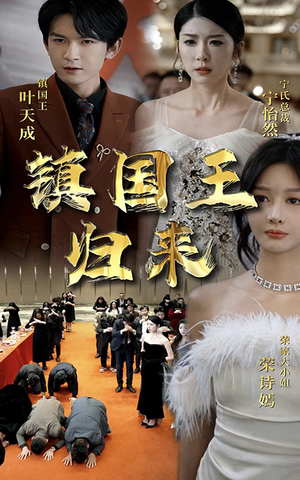 【镇国王归来】95集短剧全集免费在线赏看