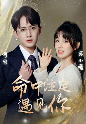 【命中注定遇见你】96集短剧在线免费全集赏