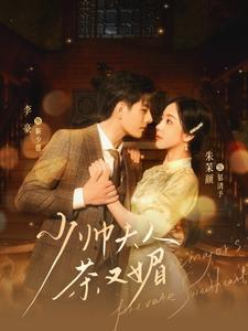 【少帅夫人茶又媚】93集在线看短剧全集资源