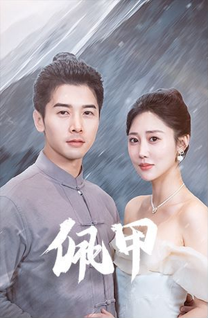 【佩甲】93集免费短剧在线畅快看