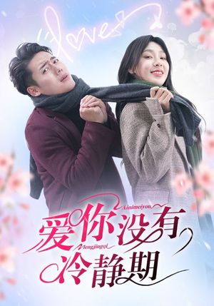 爱你没有冷静期（32集）免费观看全集