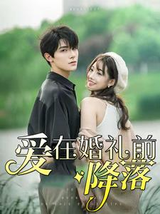 【爱在婚礼前降落】50集短剧全集在线速看