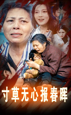 【孝子慈孙】31集短剧在线免费畅看