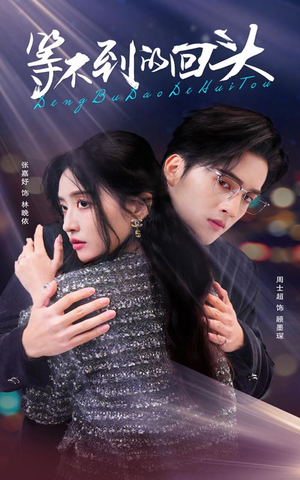 【等不到的回头】35集短剧免费全集在线赏